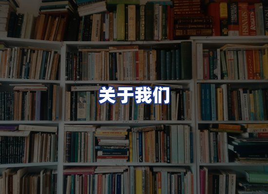 专业团队